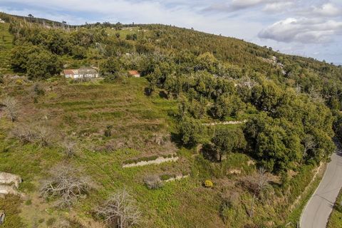 Helårsgrund i Monchique, Faro, Monchique - € 120.000 | Ref: VH554PTM - foto 3