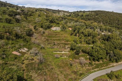 Helårsgrund i Monchique, Faro, Monchique - € 120.000 | Ref: VH554PTM - foto 4