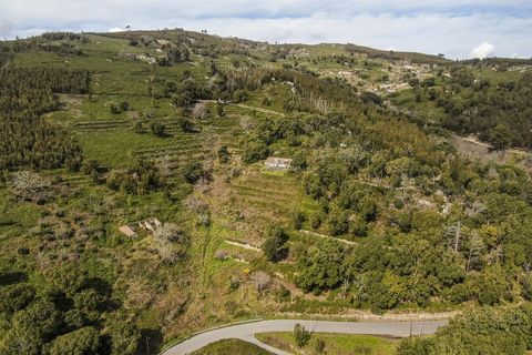 Helårsgrund i Monchique, Faro, Monchique - € 120.000 | Ref: VH554PTM - foto 5