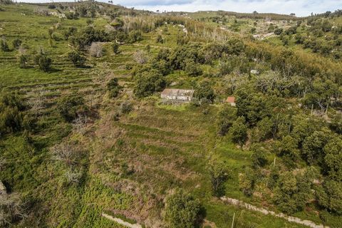 Helårsgrund i Monchique, Faro, Monchique - € 120.000 | Ref: VH554PTM - foto 7