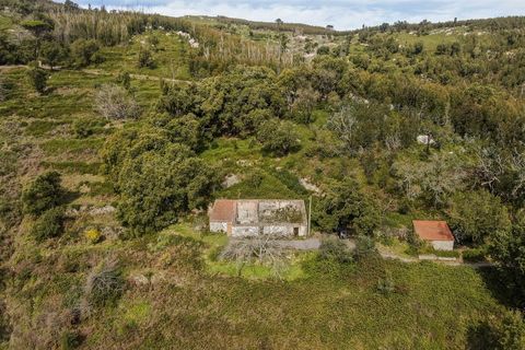 Helårsgrund i Monchique, Faro, Monchique - € 120.000 | Ref: VH554PTM - foto 8
