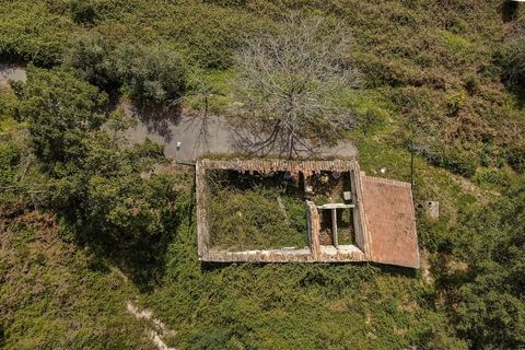 Helårsgrund i Monchique, Faro, Monchique - € 120.000 | Ref: VH554PTM - foto 9
