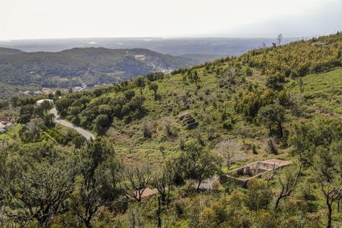 Helårsgrund i Monchique, Faro, Monchique - € 120.000 | Ref: VH554PTM - foto 10