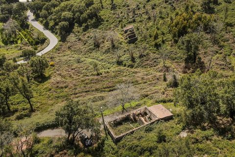 Helårsgrund i Monchique, Faro, Monchique - € 120.000 | Ref: VH554PTM - foto 11