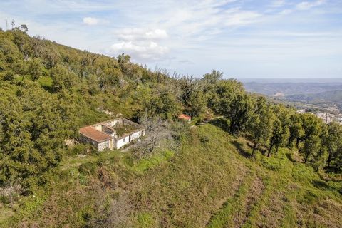 Helårsgrund i Monchique, Faro, Monchique - € 120.000 | Ref: VH554PTM - foto 1