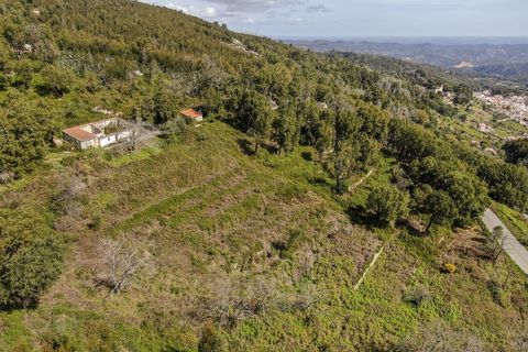 Helårsgrund i Monchique, Faro, Monchique - € 120.000 | Ref: VH554PTM - foto 12