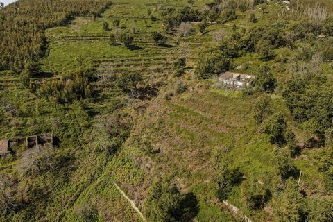 Helårsgrund i Monchique, Faro, Monchique - € 120.000 | Ref: VH554PTM - foto 13