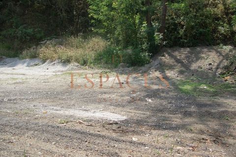 Tomt i Darque, Viana do Castelo, Darque - € 225 000 | Ref: TER_10 - foto 6