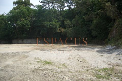Tomt i Darque, Viana do Castelo, Darque - € 225 000 | Ref: TER_10 - foto 7