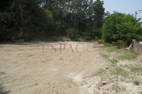 Tomt i Darque, Viana do Castelo, Darque - € 225 000 | Ref: TER_10 - foto 8