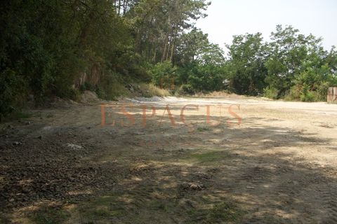 Tomt i Darque, Viana do Castelo, Darque - € 225 000 | Ref: TER_10 - foto 13