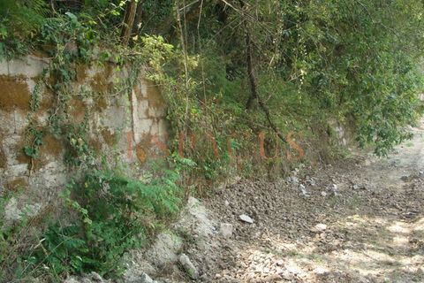 Tomt i Darque, Viana do Castelo, Darque - € 225 000 | Ref: TER_10 - foto 14