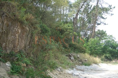 Tomt i Darque, Viana do Castelo, Darque - € 225 000 | Ref: TER_10 - foto 19