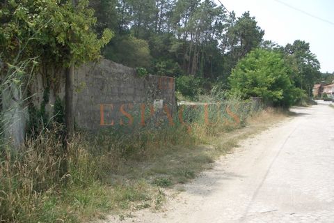 Tomt i Darque, Viana do Castelo, Darque - € 225 000 | Ref: TER_10 - foto 20