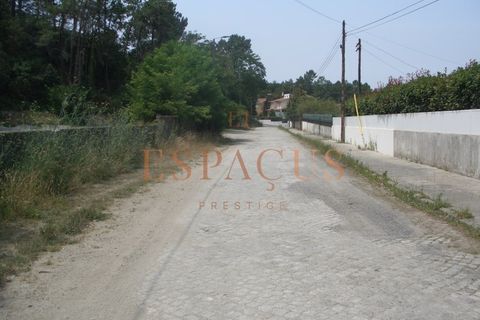 Tomt i Darque, Viana do Castelo, Darque - € 225 000 | Ref: TER_10 - foto 22