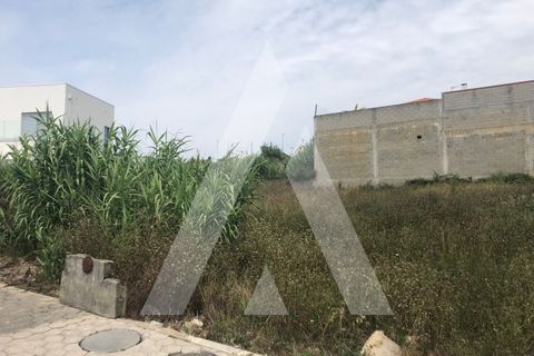 Helårsgrund i Oliveira do Bairro, Aveiro, Oliveira do Bairro - € 55.000 | Ref: 1050937/22 OB - foto 2