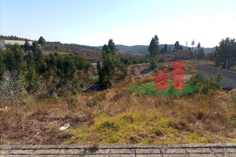 Helårsgrund i Macao, Santarem, Macao - € 34.200 | Ref: 600.22 - foto 4