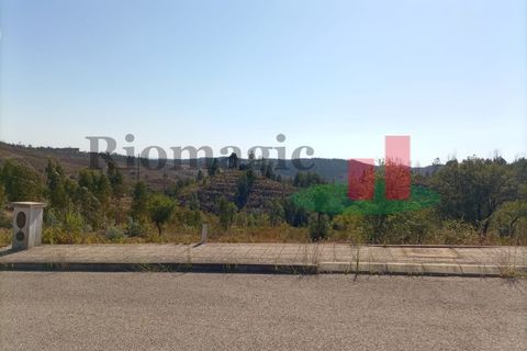 Terra a Macao, Santarem, Macao - € 34.560 | Ref: 593.22 - foto 5