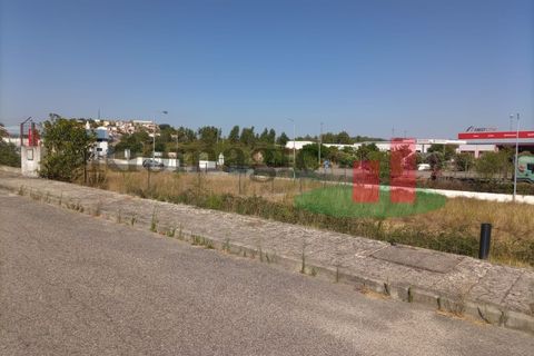 Terra a Macao, Santarem, Macao - € 34.980 | Ref: 590.22 - foto 4