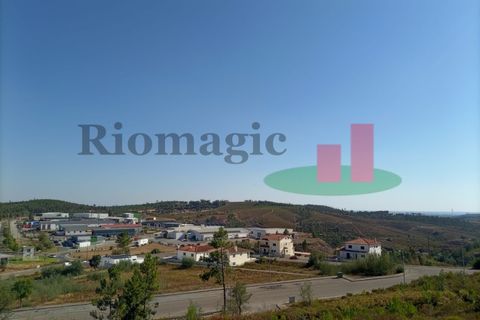 Terra a Macao, Santarem, Macao - € 34.980 | Ref: 590.22 - foto 3