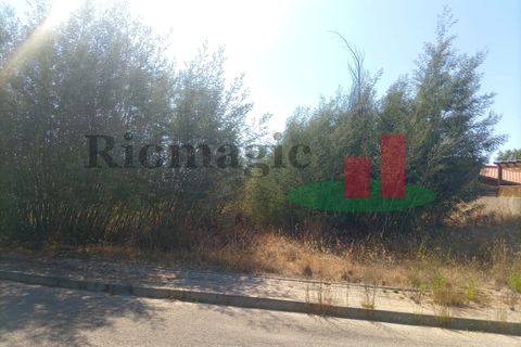 Helårsgrund i Macao, Santarem, Macao - € 32.880 | Ref: 596.22 - foto 5