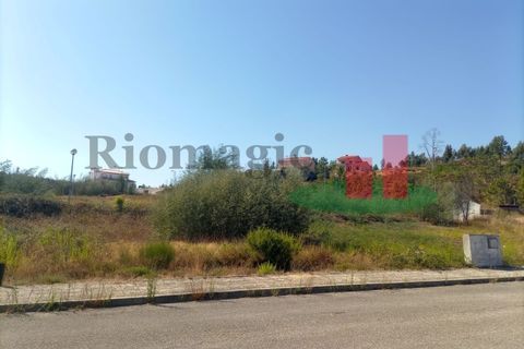 Terra a Macao, Santarem, Macao - € 34.200 | Ref: 589.22 - foto 4