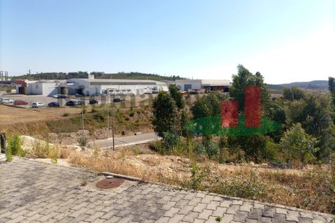 Helårsgrund i Macao, Santarem, Macao - € 34.200 | Ref: 591.22 - foto 5