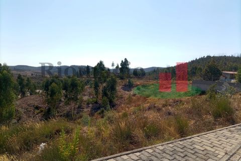 Terra a Macao, Santarem, Macao - € 36.000 | Ref: 592.22 - foto 2