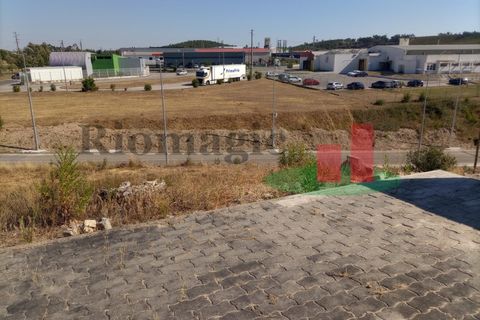 Terra a Macao, Santarem, Macao - € 36.000 | Ref: 592.22 - foto 3