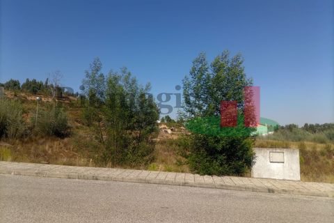 Terra a Macao, Santarem, Macao - € 34.200 | Ref: 595.22 - foto 5