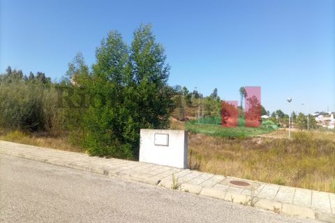 Terra a Macao, Santarem, Macao - € 34.200 | Ref: 595.22 - foto 4