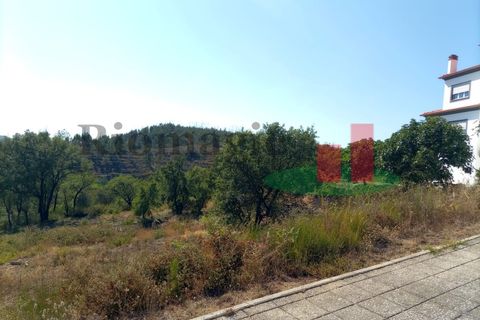 Helårsgrund i Macao, Santarem, Macao - € 38.520 | Ref: 594.22 - foto 1