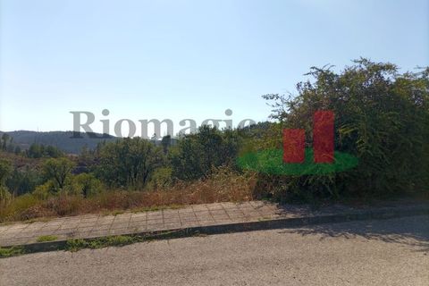 Helårsgrund i Macao, Santarem, Macao - € 38.520 | Ref: 594.22 - foto 5