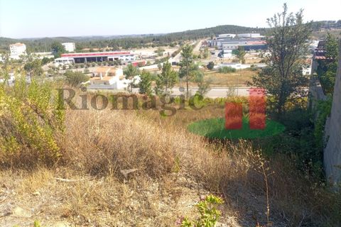 Terra a Macao, Santarem, Macao - € 34.200 | Ref: 597.22 - foto 6