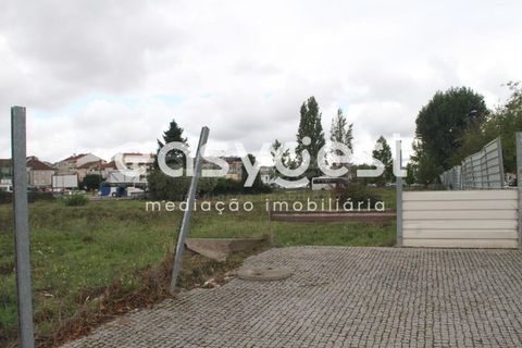 Helårsgrund i Viseu, Viseu, Viseu - € 925.000 | Ref: RR89144 - foto 11