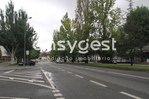 Helårsgrund i Viseu, Viseu, Viseu - € 925.000 | Ref: RR89144 - foto 21
