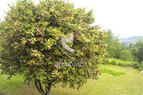 Byhus i Arcos de Valdevez, Viana do Castelo, Arcos de Valdevez - € 475.000 | Ref: AV2369 - foto 16
