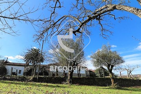 Byhus i Arcos de Valdevez, Viana do Castelo, Arcos de Valdevez - € 475.000 | Ref: AV2369 - foto 19