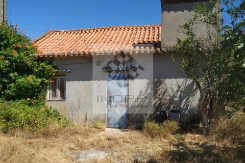 Terra a Couco, Santarem, Couco - € 127.500 | Ref: IMOPP-00096 - foto 2