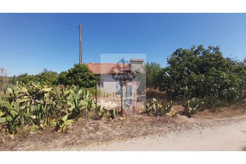 Terra a Couco, Santarem, Couco - € 127.500 | Ref: IMOPP-00096 - foto 3