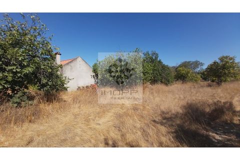 Terra a Couco, Santarem, Couco - € 127.500 | Ref: IMOPP-00096 - foto 4