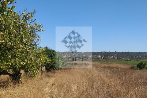 Terra a Couco, Santarem, Couco - € 127.500 | Ref: IMOPP-00096 - foto 5