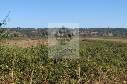 Terra a Couco, Santarem, Couco - € 127.500 | Ref: IMOPP-00096 - foto 6