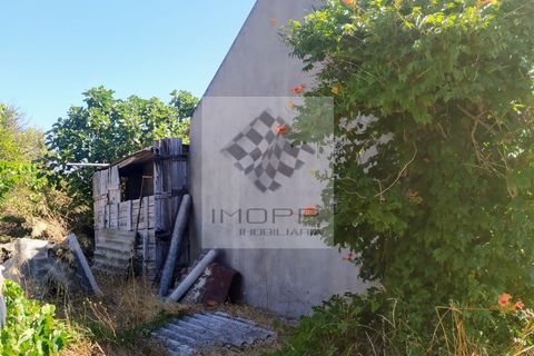 Terra a Couco, Santarem, Couco - € 127.500 | Ref: IMOPP-00096 - foto 7