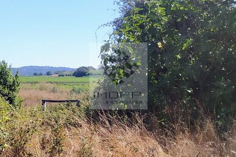 Terra a Couco, Santarem, Couco - € 127.500 | Ref: IMOPP-00096 - foto 8
