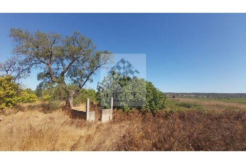 Terra a Couco, Santarem, Couco - € 127.500 | Ref: IMOPP-00096 - foto 10