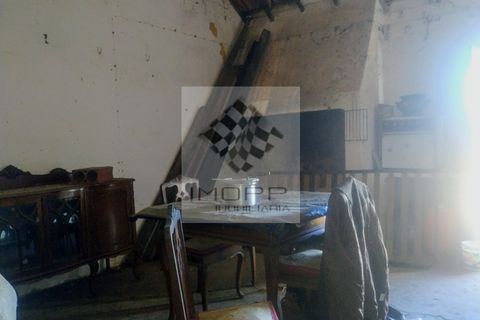 Terra a Couco, Santarem, Couco - € 127.500 | Ref: IMOPP-00096 - foto 12