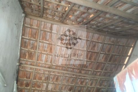 Terra a Couco, Santarem, Couco - € 127.500 | Ref: IMOPP-00096 - foto 14