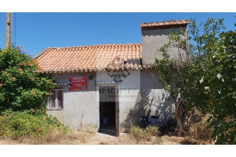 Terra a Couco, Santarem, Couco - € 127.500 | Ref: IMOPP-00096 - foto 22