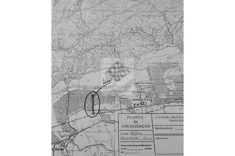 Terra a Couco, Santarem, Couco - € 127.500 | Ref: IMOPP-00096 - foto 23